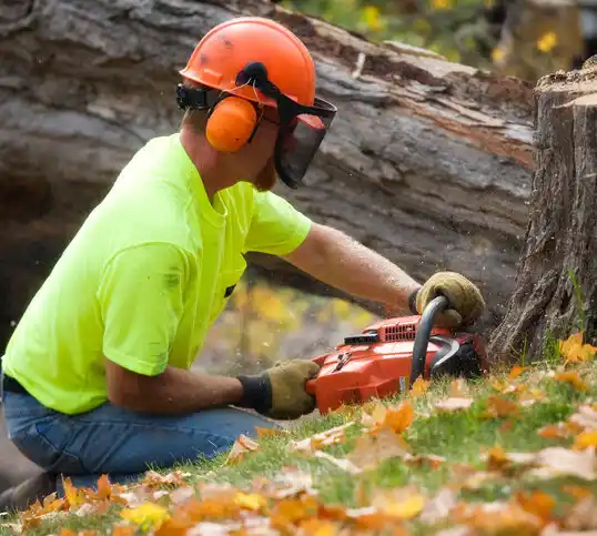 tree services Pitkin